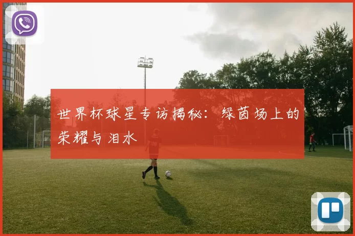 世界杯球星专访揭秘:绿茵场上的荣耀与泪水