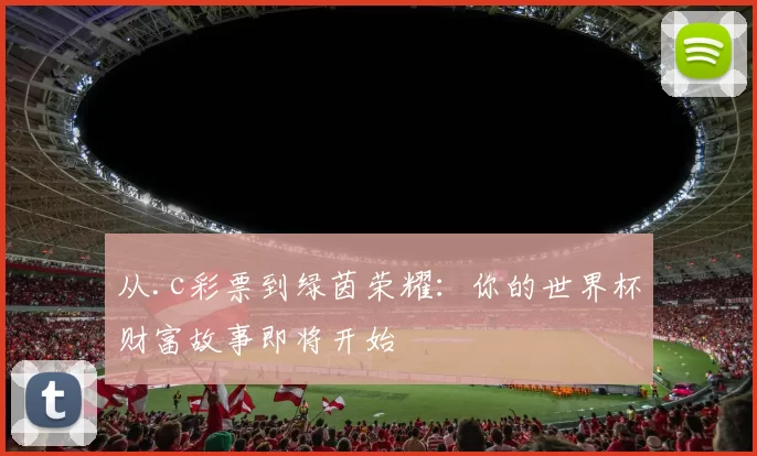 从.c彩票到绿茵荣耀：你的世界杯财富故事即将开始