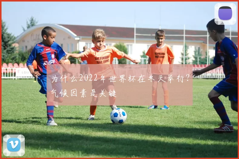 为什么2022年世界杯在冬天举行？气候因素是关键