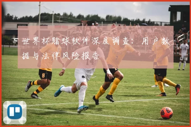 世界杯赌球软件深度调查：用户数据与法律风险报告