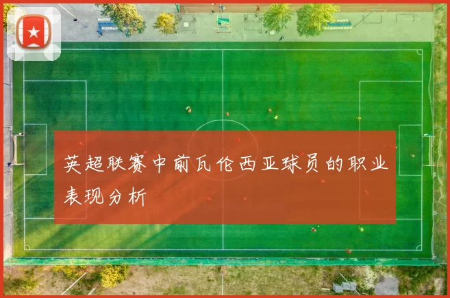 英超联赛中前瓦伦西亚球员的职业表现分析