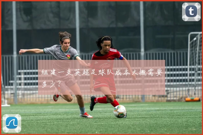 组建一支英超足球队成本大概需要多少？
