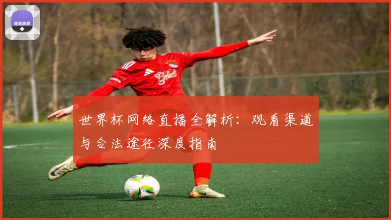 世界杯网络直播全解析：观看渠道与合法途径深度指南
