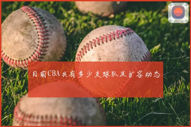 目前CBA共有多少支球队及扩容动态