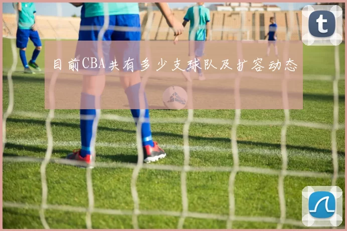 目前CBA共有多少支球队及扩容动态