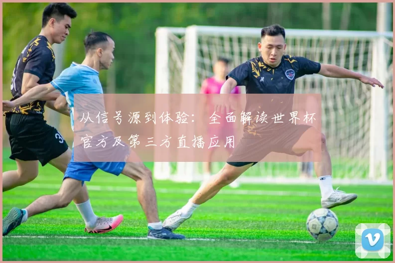 从信号源到体验：全面解读世界杯官方及第三方直播应用