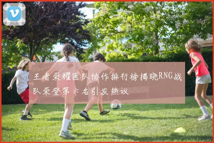 王者荣耀团队协作排行榜揭晓RNG战队荣登第六名引发热议