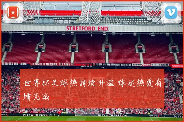 世界杯足球热持续升温 球迷热爱有增无减